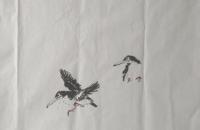 荷花和翠鸟的画法