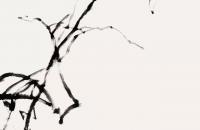 写意葫芦的画法 详细作画步骤演示