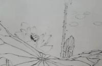 花鸟画荷花的画法