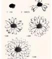国画写意菊花画法