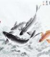 国画写意鲤鱼画法