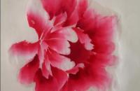 牡丹怎么画？牡丹画法解析