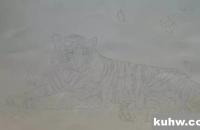 工笔虎《秋思》示范步骤