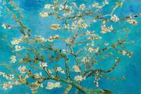 前500幅世界名画-“杏花枝（1890 年 2 月）” 文森特梵高 - 油 - 74 x 92 cm