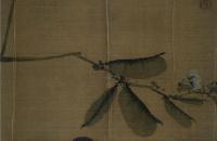 袁江 写生蔬果图页(之二) 清