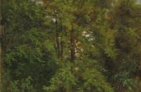 卡尔·古斯塔夫·卡鲁斯 (Carl Gustav Carus)-《皮尔尼茨易北岛》作品欣赏