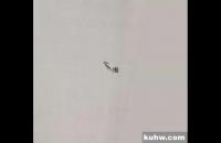 写意《喜鹊腾飞》示范步骤