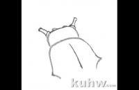 3种常见草虫画法