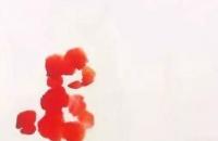 写意《山茶小品》示范步骤