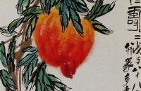 绶带鸟的简易画法以及常见布局构图