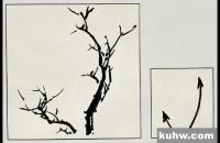 花鸟画的简单构图法