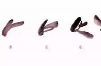 教你画兰花、兰草