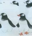 国画写意企鹅的画法