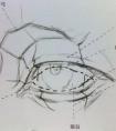 眼睛的结构及素描速写眼睛画法步骤