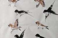 燕子，迎春花的画法