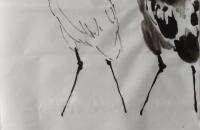 鹭鸶芦苇水烛的画法