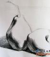 素描静物步骤-苹果和雪梨画法