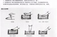 写意菊花的分解画法