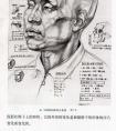 人体结构素描头部结构解析